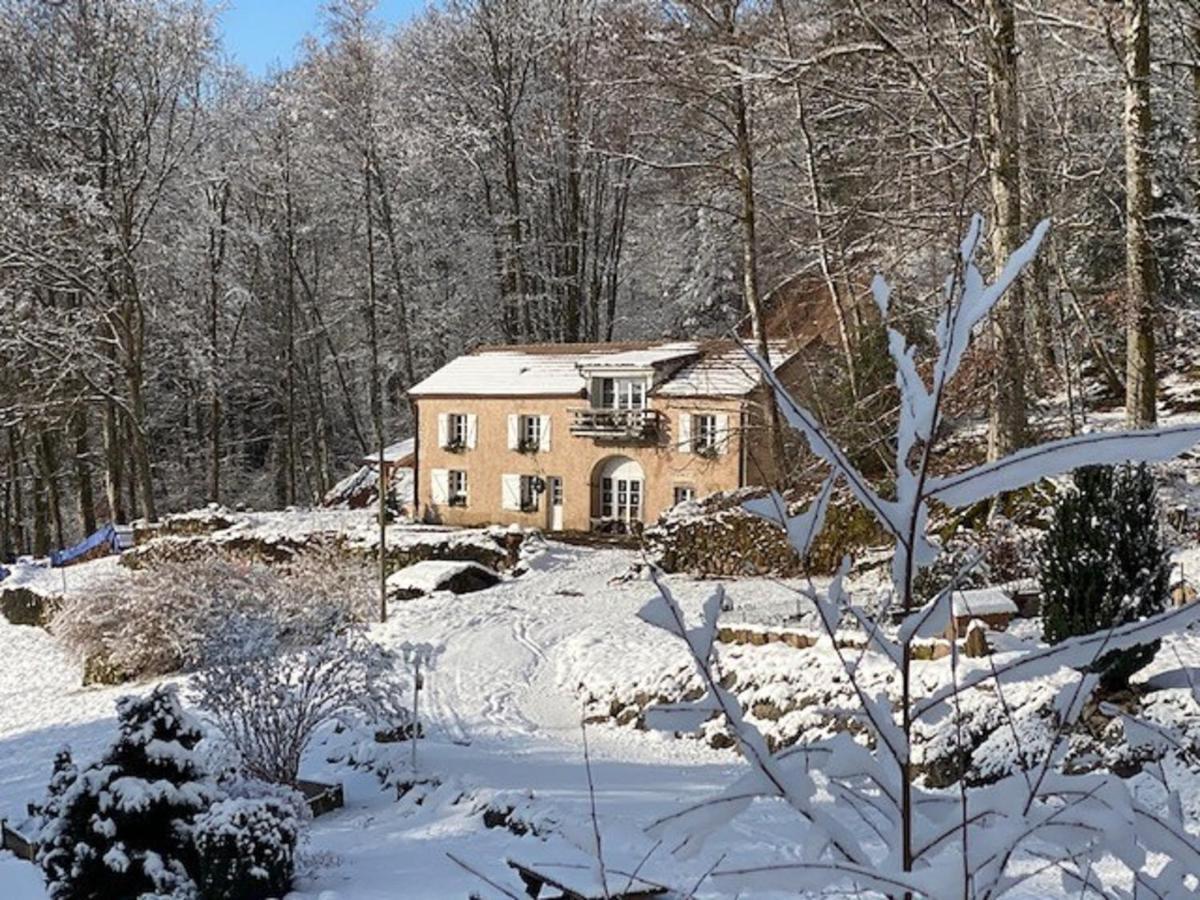 Gite Du Bois Des Hauts Les Mille Etangs La Lanterne-et-les-Armonts Exterior foto