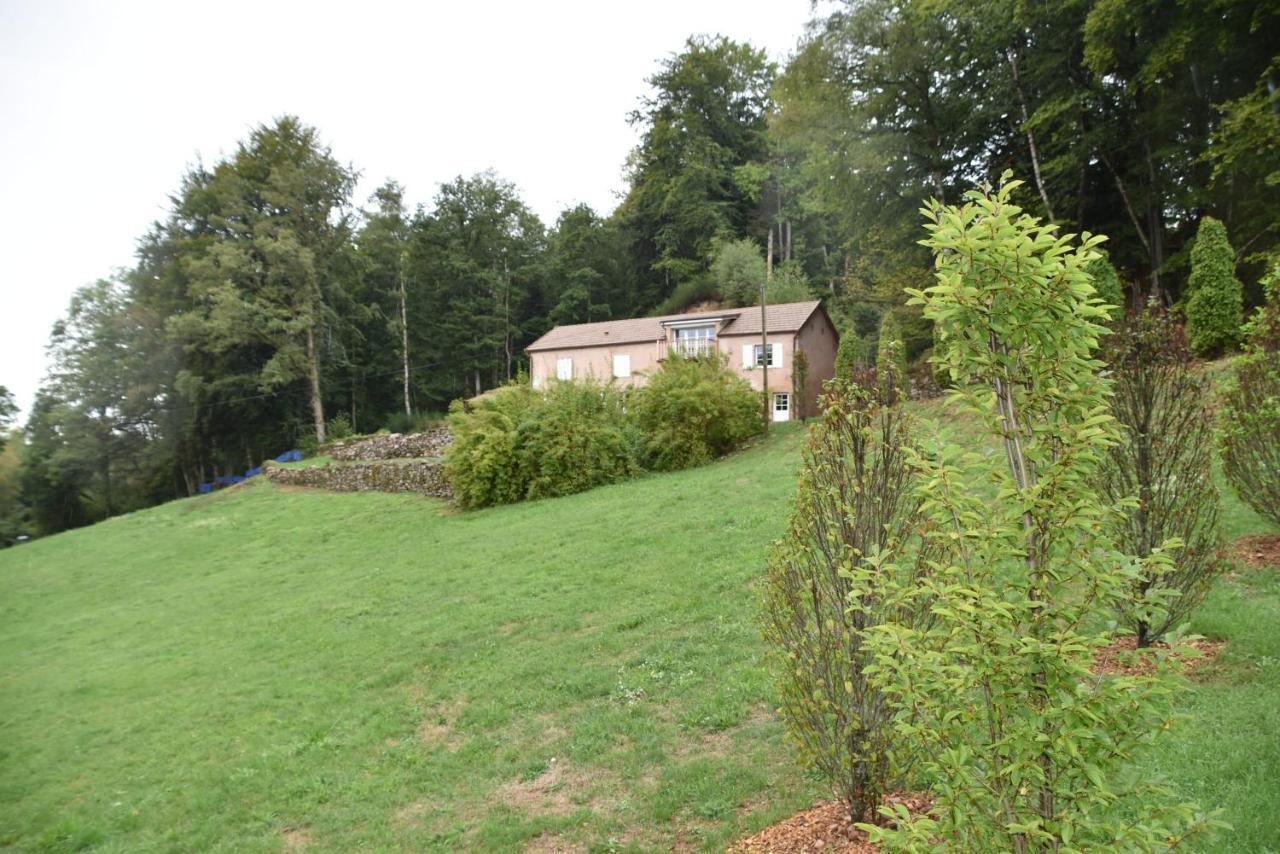 Gite Du Bois Des Hauts Les Mille Etangs La Lanterne-et-les-Armonts Exterior foto